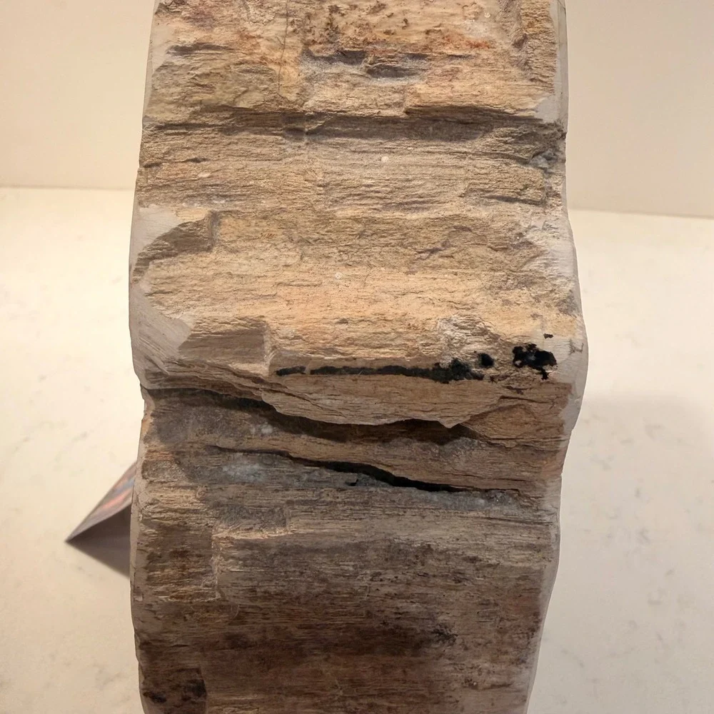Natural Petrified Wood Single Bookend Handmade Heavy Large Neutral Bibliophile